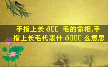 手指上长 🐠 毛的命相,手指上长毛代表什 🐘 么意思